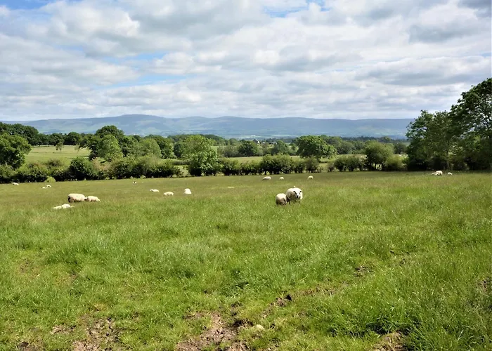 4 Bed In Penrith Oc-80541 度假居